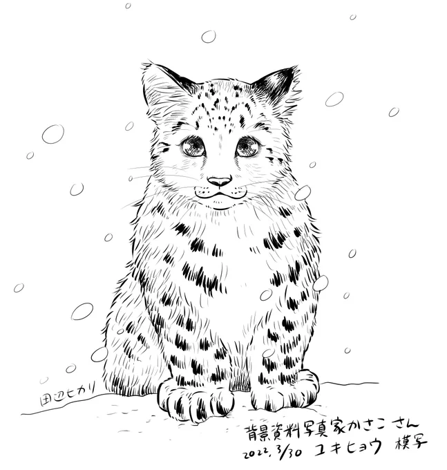 モフモフもつぶらな瞳も大きいあんよもたまらん…😍❤️
#イラスト #模写イラスト #ユキヒョウ https://t.co/6LaWKIGlZB 