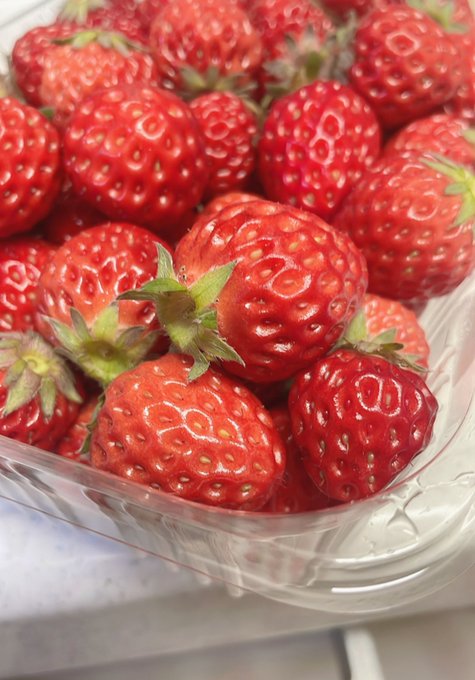 あかちゃん苺可愛いぃぃ🍓👼🍼 