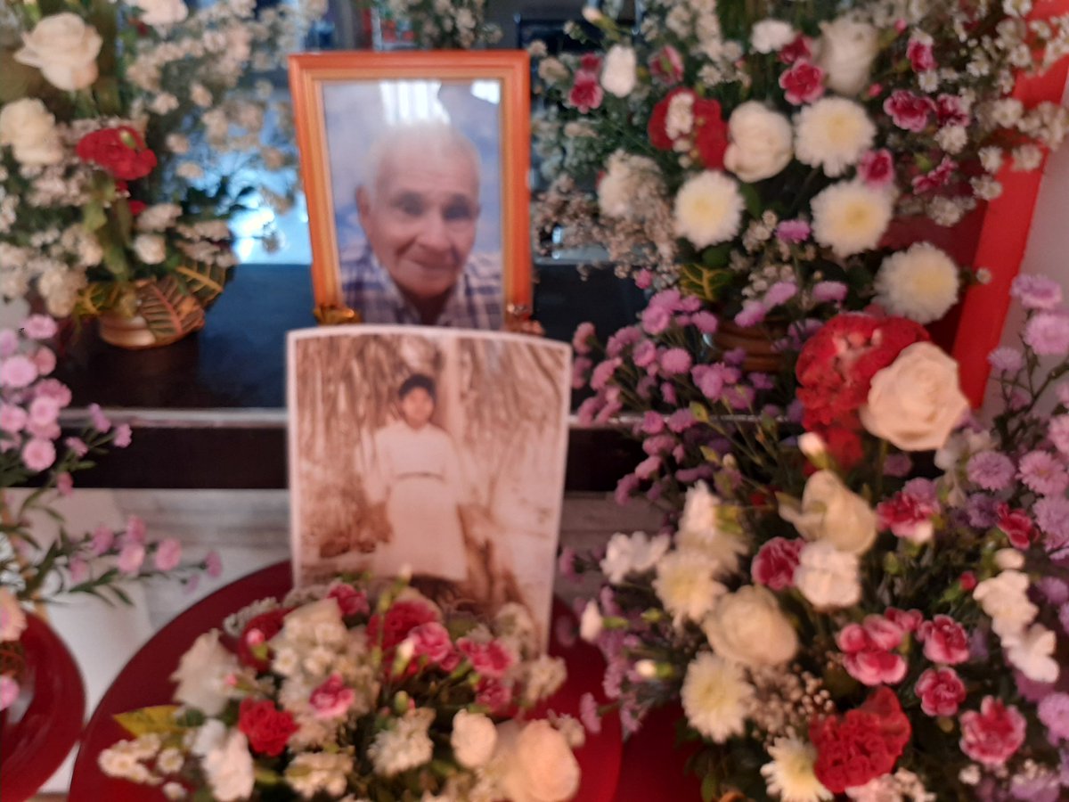 libredeopinar13's tweet photo. @sspxs Mis padres lo ven desde el cielo como siempre mi mamá decía "esos son malos" mi padre le decia "ave de mala güero" jiji era la cabala de mi mamá jijij ahora los dos en el cielo aplauden y gritan los goles arriba Perú #somos5 #aunpartido #catarallávamos https://t.co/6H5kSZF7Dk