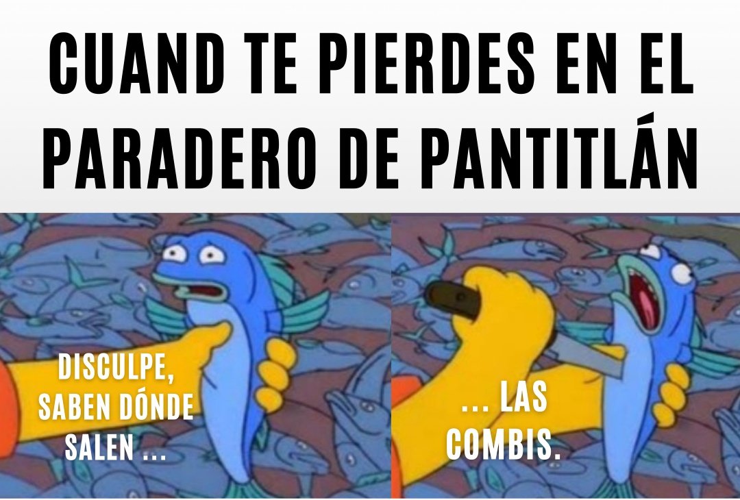 CDMXMetro's tweet photo. Perdóname la vida. https://t.co/4qaLZ0EYj7