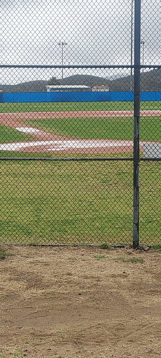 Dalton Mills tweet media