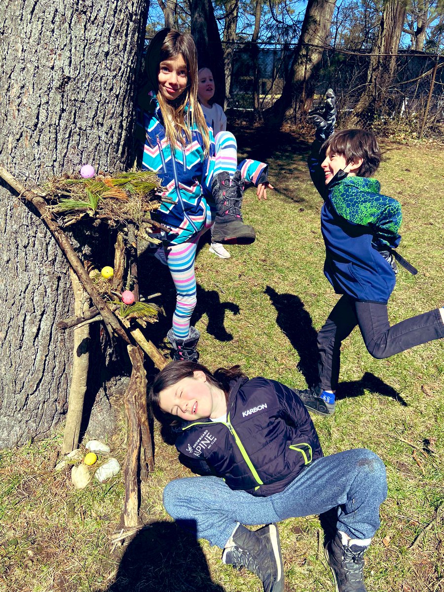 ms_stevenskr's tweet image. Today’s Tinker Tuesday challenge was all about being grounded in Mother Nature, with a focus on naturally made structures. Your Task: as a team can you build a birds nest? @HDSB_smhwb @HDSBKidsLearn @newcentralps