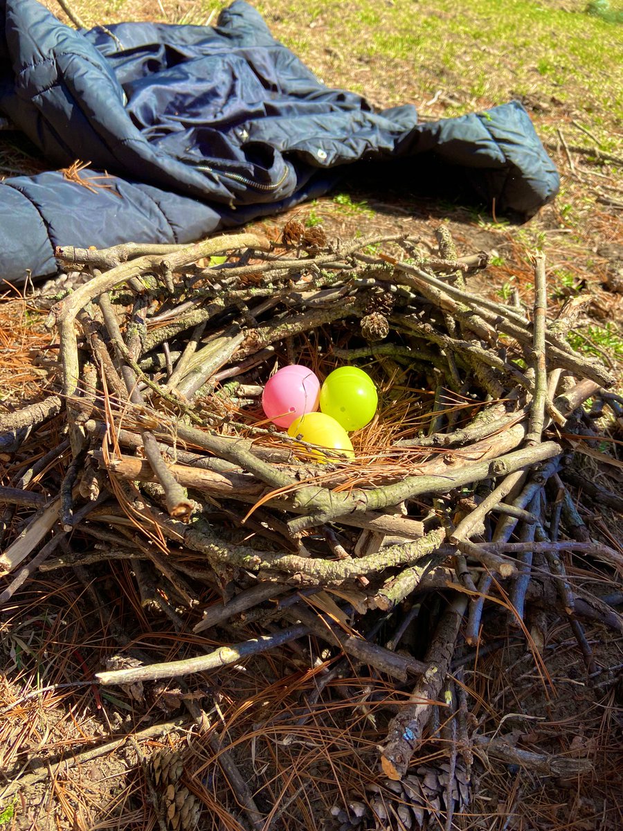 ms_stevenskr's tweet image. Today’s Tinker Tuesday challenge was all about being grounded in Mother Nature, with a focus on naturally made structures. Your Task: as a team can you build a birds nest? @HDSB_smhwb @HDSBKidsLearn @newcentralps