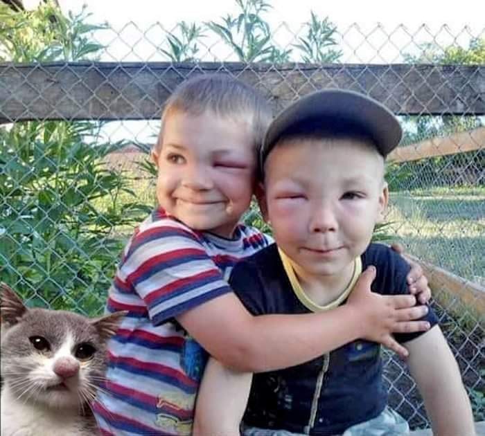 nord3842's tweet photo. Любители мёда... и кот тоже в теме https://t.co/Lql63wEY7R