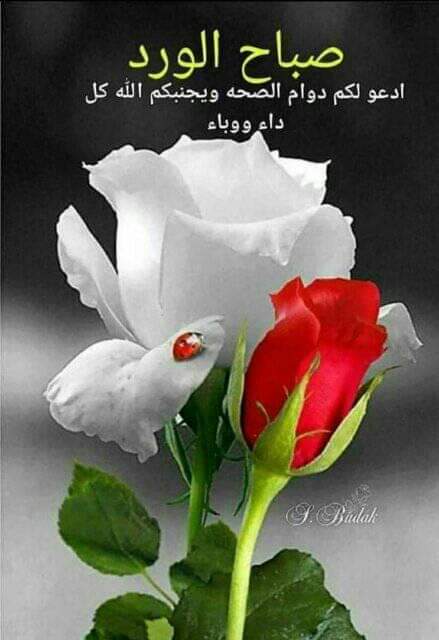osama35h1's tweet photo. @xraykh_ https://t.co/I54AfxQ88g