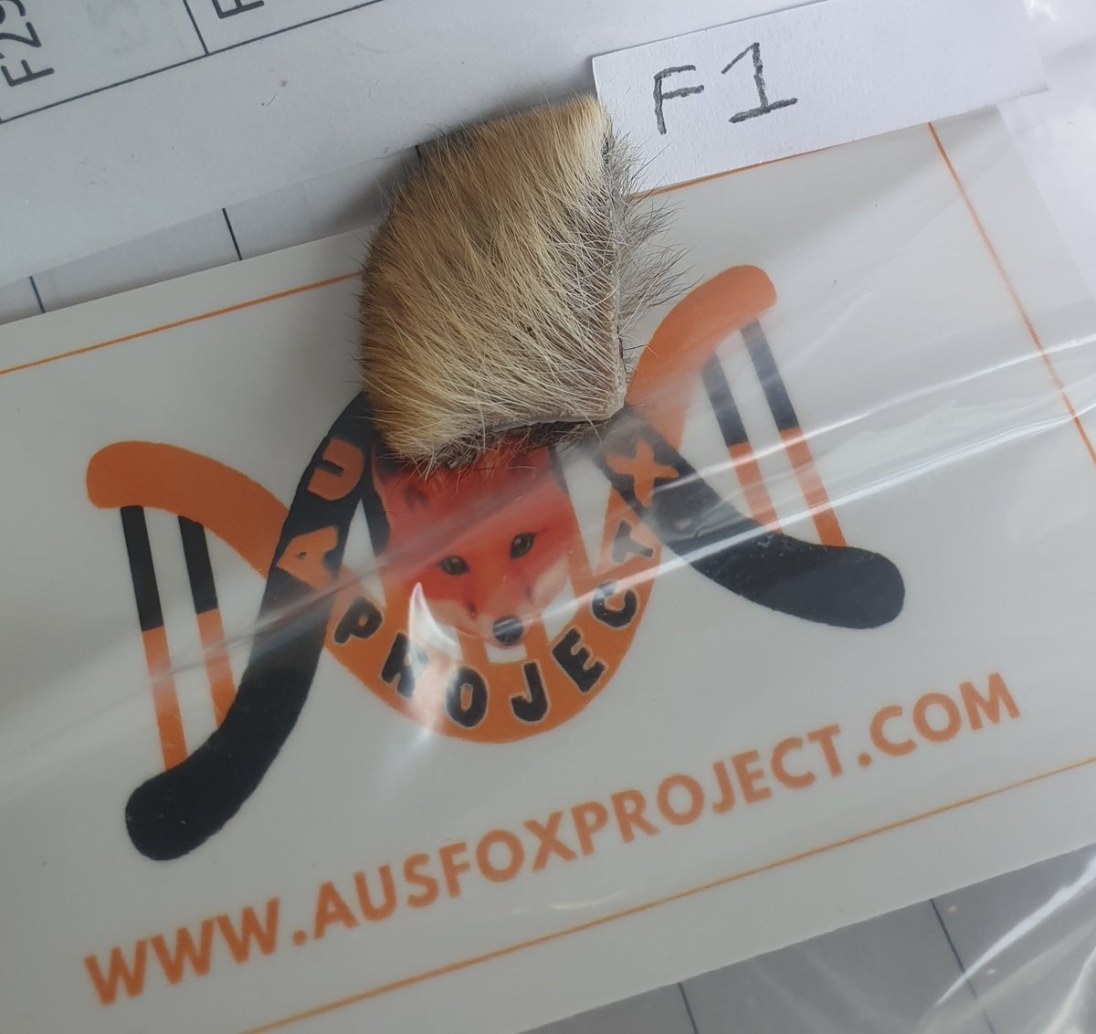 Agvocate_Au tweet media