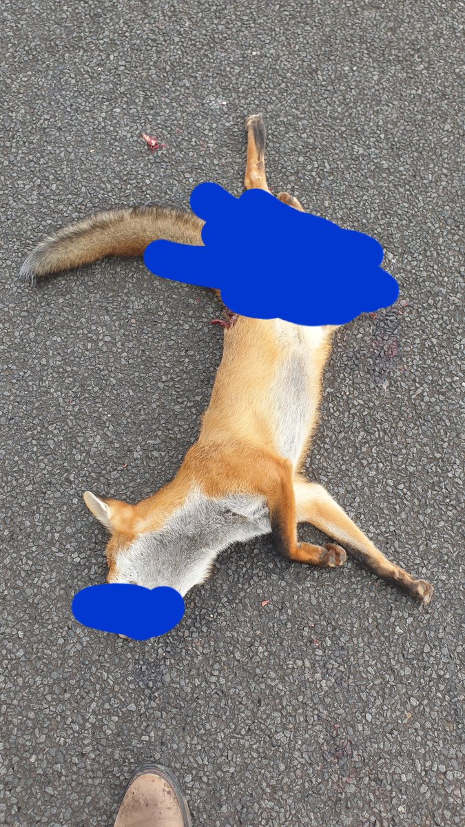 Agvocate_Au tweet media