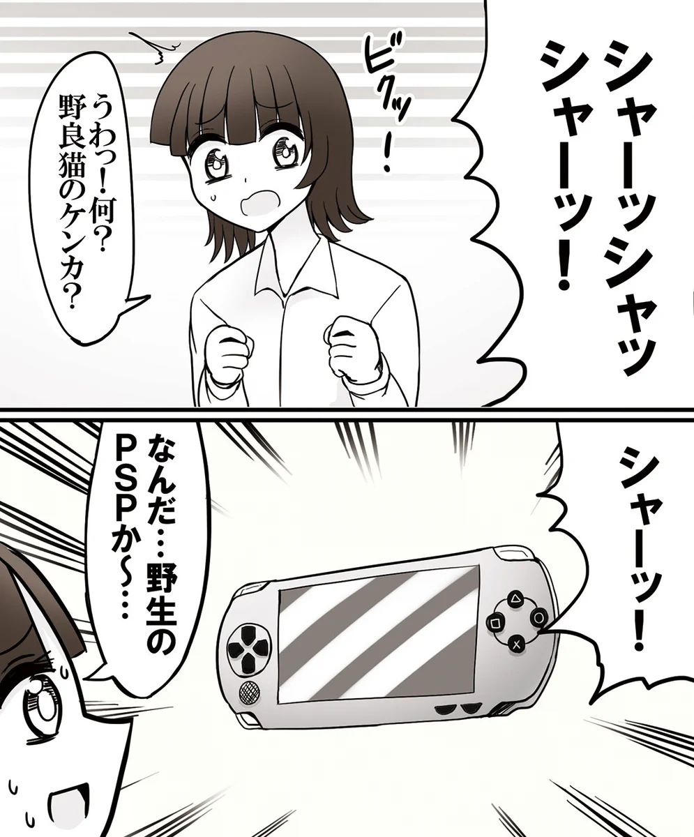 野良猫同士のケンカかと思ったら？意外なものが鳴いていたwww