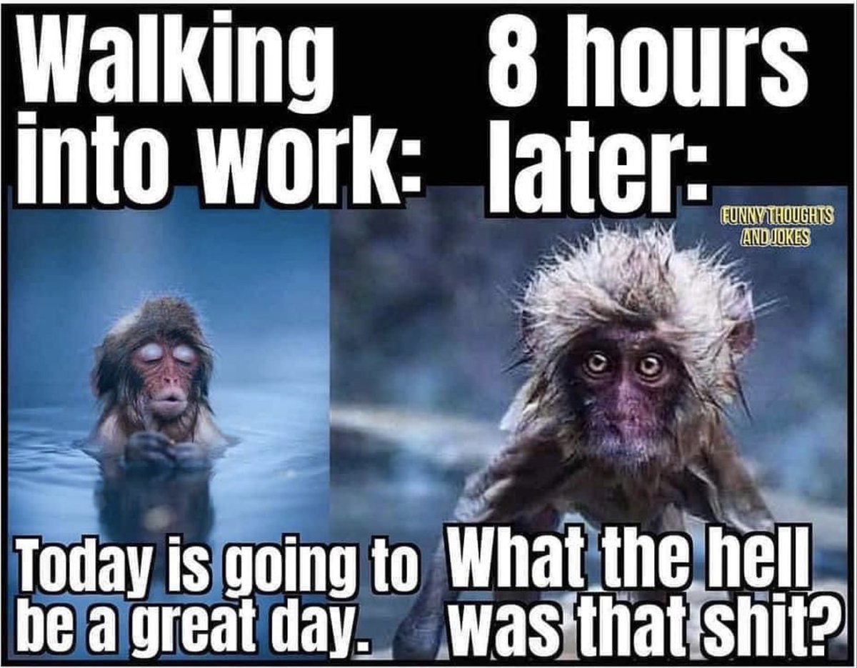 FunnyWorkHumor's tweet image. Which day is this for you? #work #workmeme #funnyworkhumor #humor #funny #meme