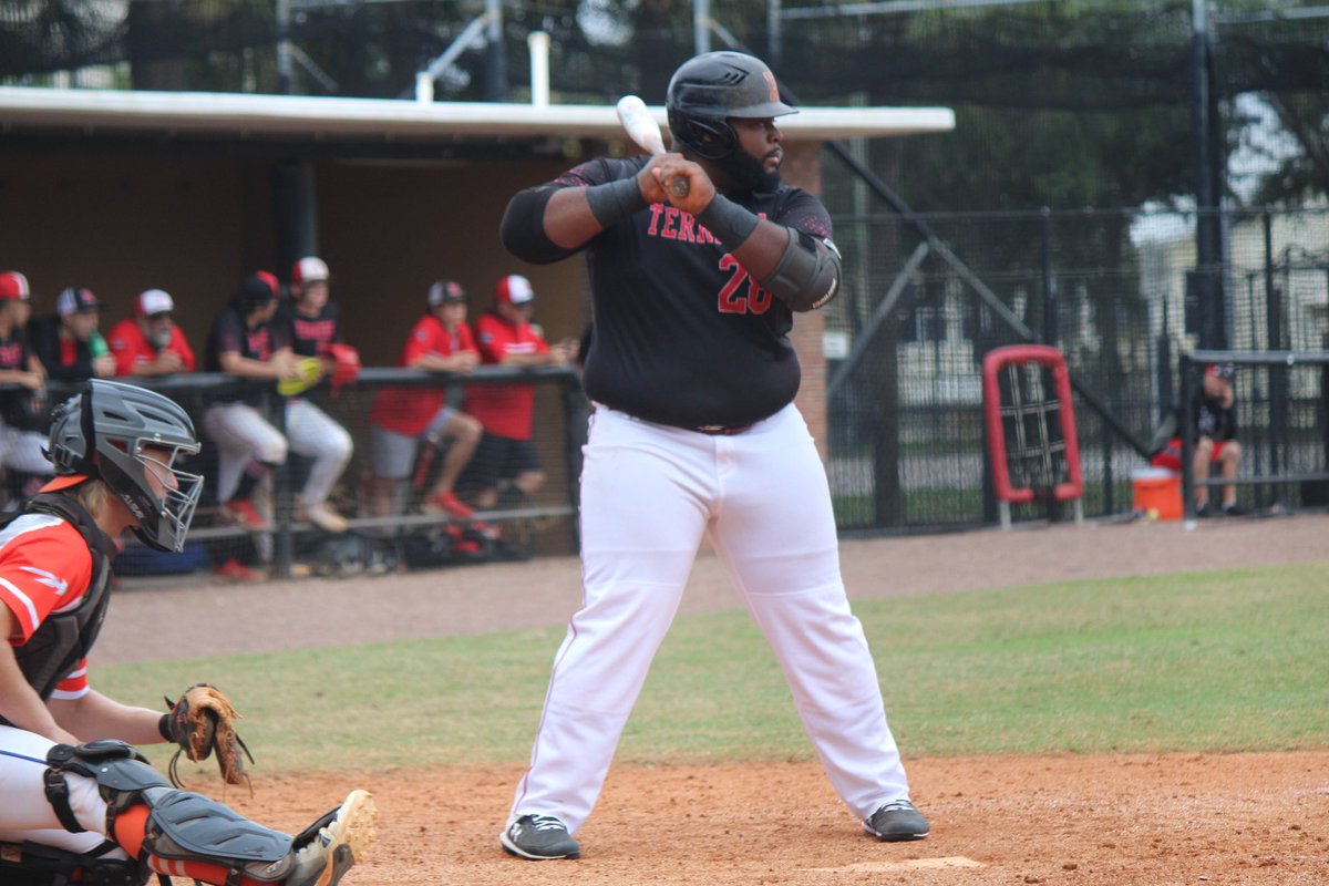 Ely_Burse 🦍💣 tweet media