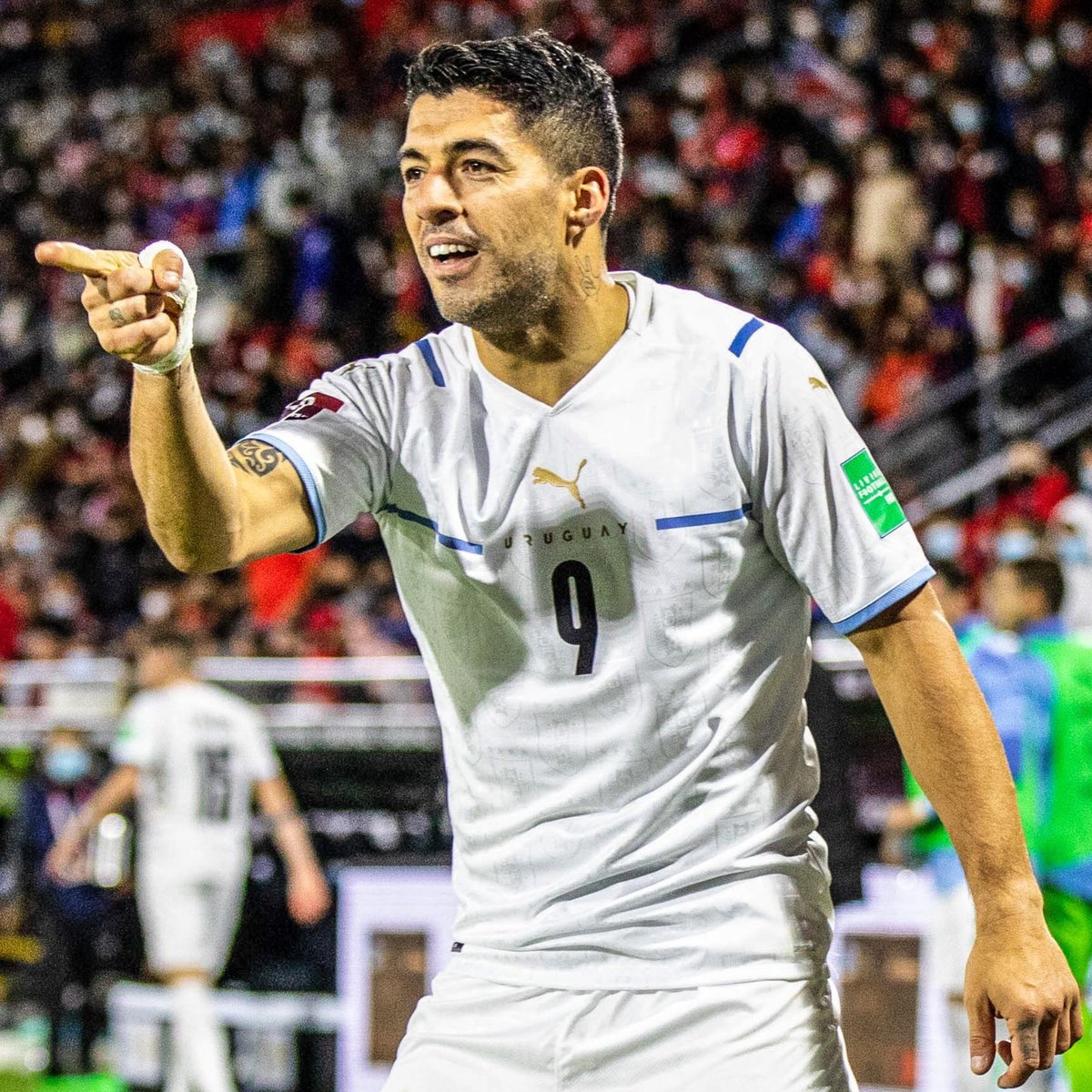 InvictosSomos's tweet photo. Campeón goleador en la Eredivisie, Premier League y Liga. Ganó 2 Botas de Oro en la época de Messi y Cristiano. Máximo goleador histórico de Uruguay. Y máximo goleador de las mejores eliminatorias del mundo, superando a Messi. De pie ante Luis Suárez, por favor. QUÉ 9 LEGENDARIO. https://t.co/tGlKhGcTKh