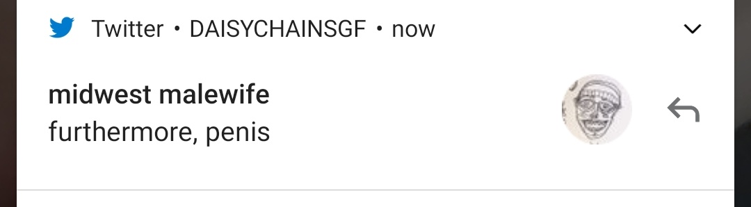 DAISY CHAIN tweet media