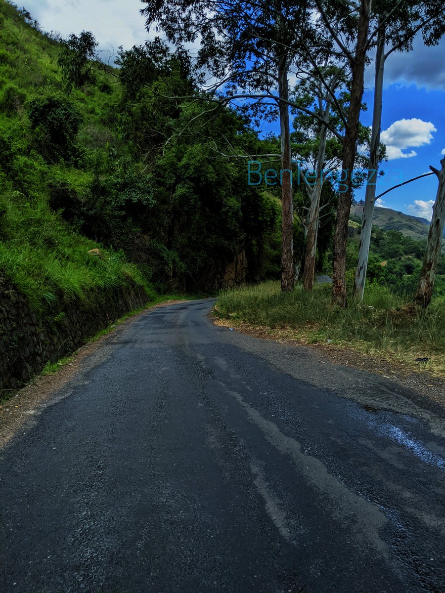 HateemBen's tweet photo. Mombo - Lushoto Road

#pichazasimu
@pichazasimu https://t.co/sqVZuKTlQc