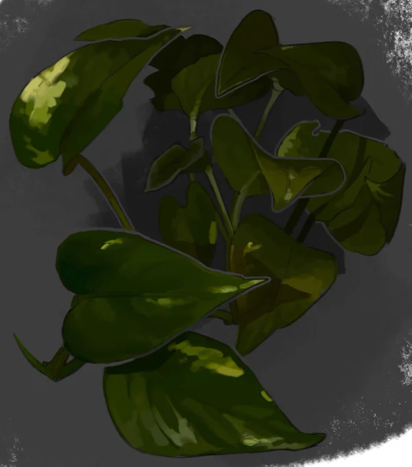Come eat! Plants. 