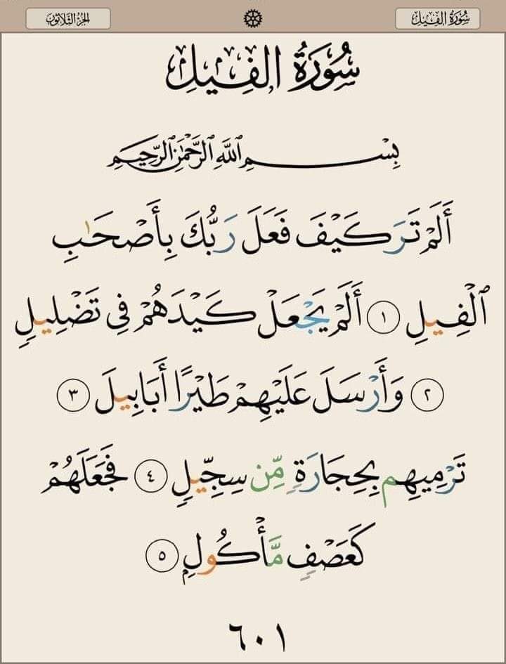 usman15163173's tweet photo. 💕السلام علیکم ورحمتہ اللہ وبرکاتہ💕
1 
⚘💐⚘💐صبح بخیر 💐⚘💐⚘ https://t.co/QCLSghBCps