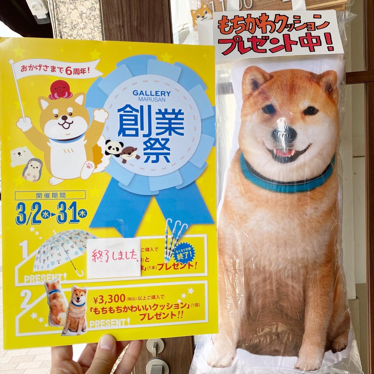 ご専用です 柴犬 10 Whirledpies Com