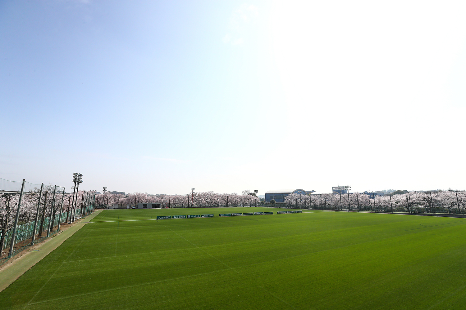 浦和レッズオフィシャル 大原サッカー場 桜 満開 Urawareds 浦和レッズ T Co Jikhfzqyjn Twitter