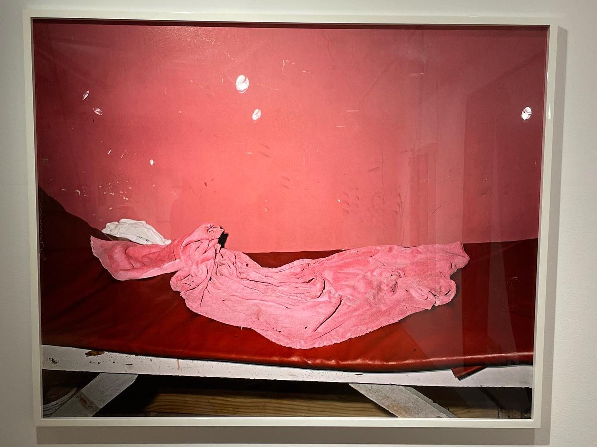 jamesgleventhal's tweet photo. Take that #WhitneyBiennial 🤣 @MoADsf you are really out doing yourself 👏🙇🏻💜 @yung_sch0lar w/ #SadieBarnette 🥀 #davidhuffman 👨🏾🚀 #deanalawson 📸 https://t.co/WYKx9AndSu