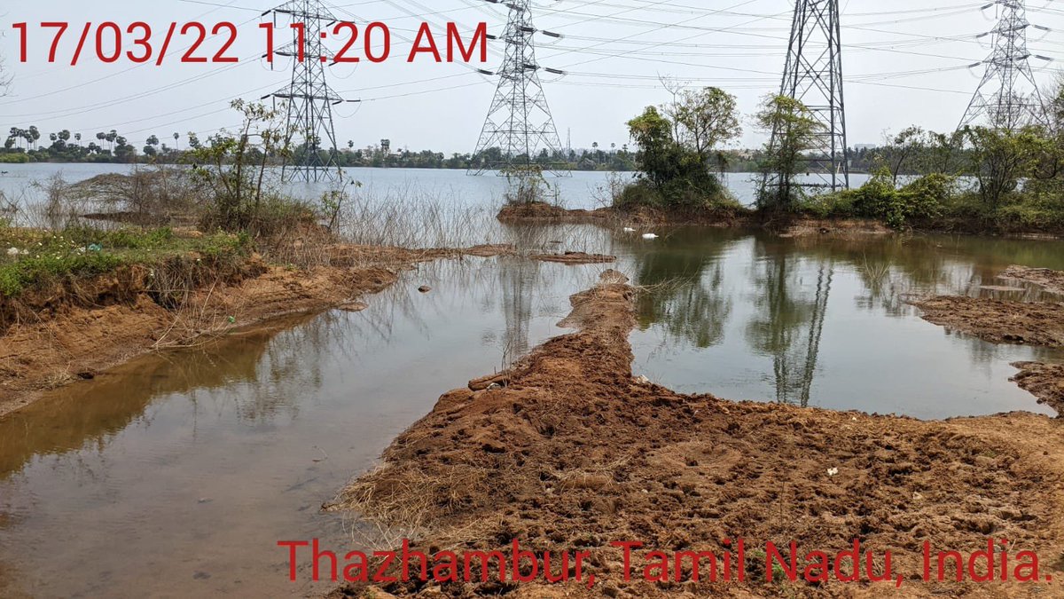 VckBalaji's tweet photo. திருப்போரூர் தொகுதி தாழம்பூர் ஏரி நீர், காற்று, ஒலி என ஒட்டுமொத்த மாசு மண்டலமாக மாறி வருகிறது @CMOTamilnadu @supriyasahuias @Chengalpattu01 #SaveThazhamburLake https://t.co/tApJWx1Pp5