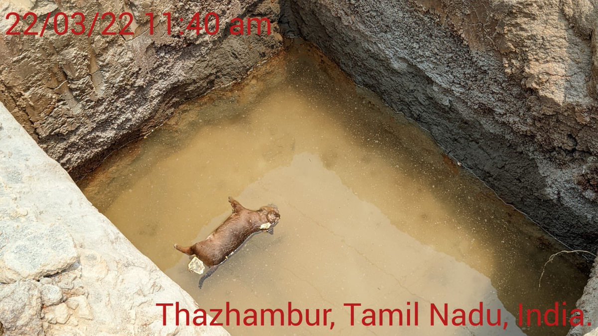 VckBalaji's tweet photo. திருப்போரூர் தொகுதி தாழம்பூர் ஏரி நீர், காற்று, ஒலி என ஒட்டுமொத்த மாசு மண்டலமாக மாறி வருகிறது @CMOTamilnadu @supriyasahuias @Chengalpattu01 #SaveThazhamburLake https://t.co/tApJWx1Pp5