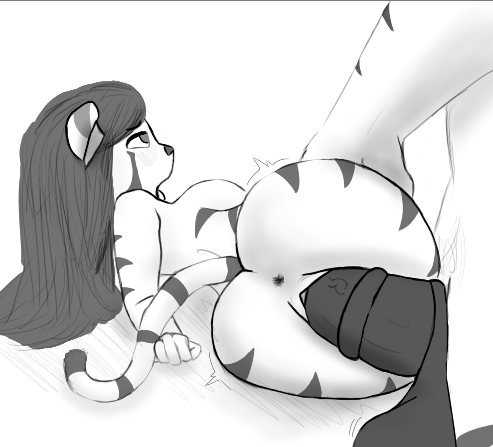 RaackMan tweet media