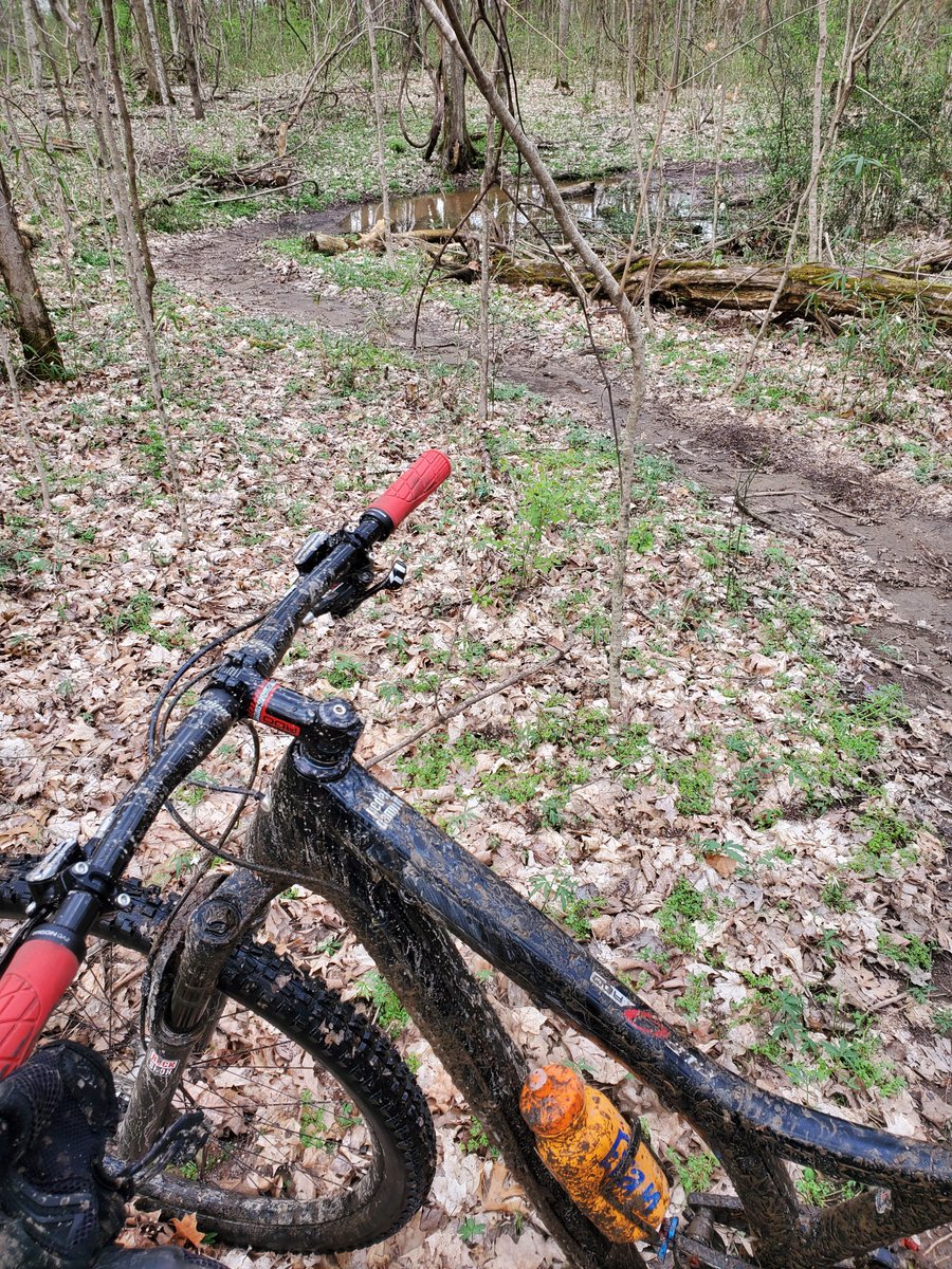 I am inspired by <a href="/DrSamuelBrown/">Samuel Brown</a> to tweet my recent trail ride photo.