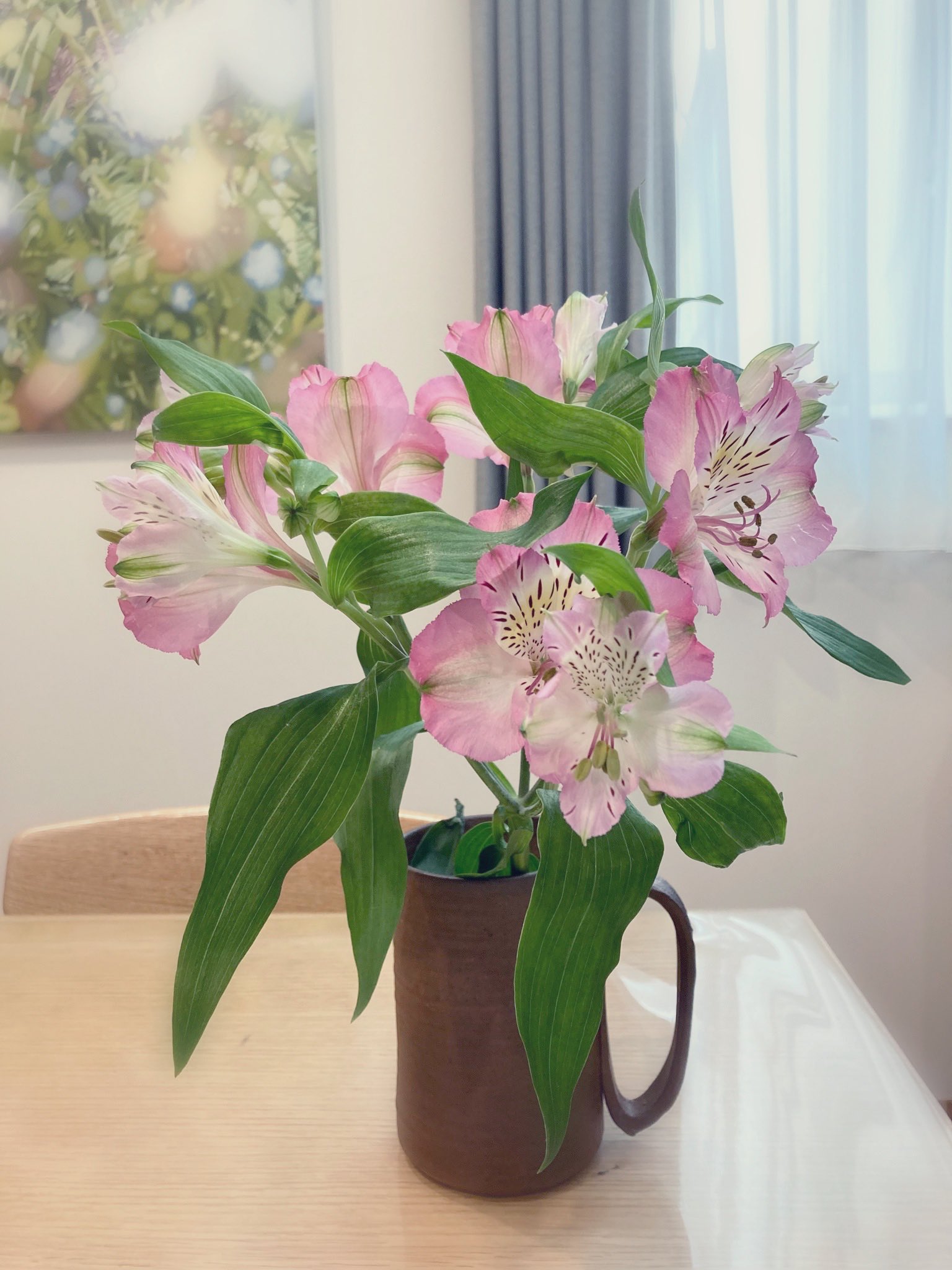 تويتر Minok على تويتر 卒業式でもらったアルストロメリアの蕾が咲いた 長持ちするお話 花言葉は 未来へのあこがれ 持続 だなんて 卒業生にぴったり T Co 3gfu8dvdef تويتر Minok على تويتر 卒業式でもらったアルストロメリアの蕾が咲いた 長持ちするお話 花言葉は 未来へのあこがれ 持続 だなんて 卒業生にぴったり T Co 3gfu8dvdef