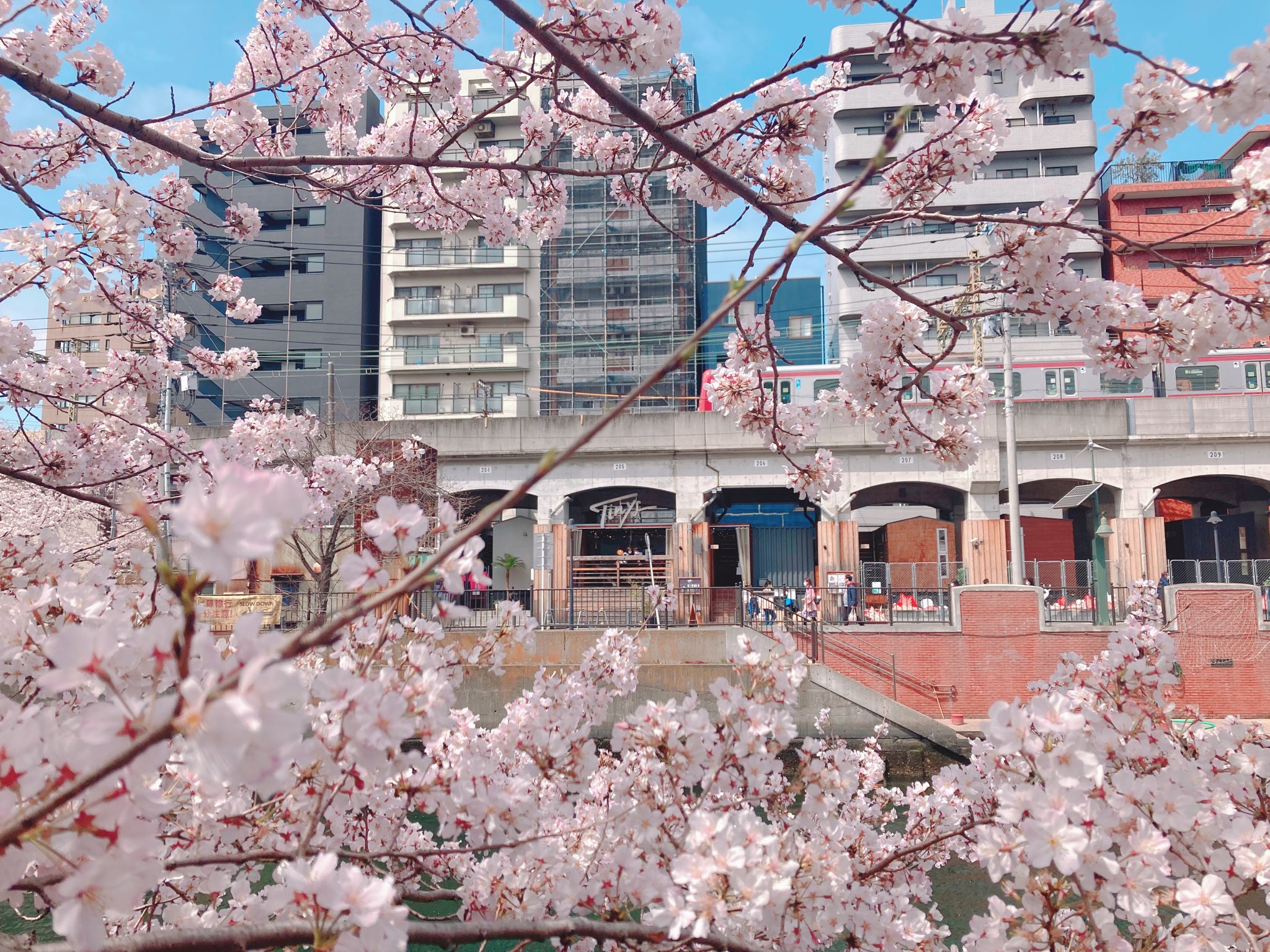 相馬由季 Tinyhouse Mogura 大岡川の桜が満開 今年は屋台もたくさん出てて楽しいー Tinysからもお 花見できます T Co C37wzibgag T Co Itauxlq3xq Twitter 相馬由季 Tinyhouse Mogura 大岡川の桜が満開 今年は屋台もたくさん出てて楽しいー Tinysからもお 花見できます T Co C37wzibgag T Co Itauxlq3xq Twitter