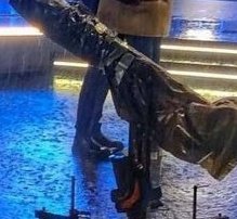 - kendine gel bi cift bacak sexy duramaz
bi cift bacak: