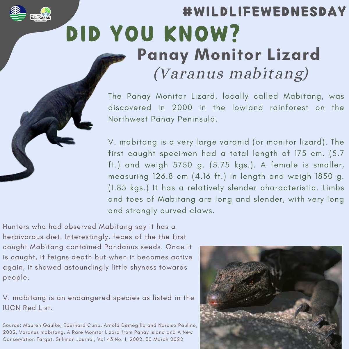DenrVisayas's tweet photo. #WildlifeWednesday
#DENR6
#denr6march2022
#TayoAngKalikasan https://t.co/QECNmLRByL