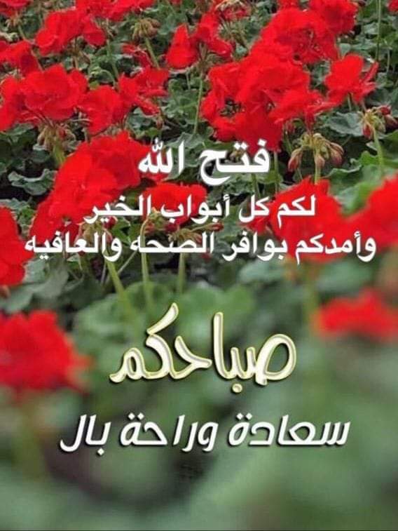 راضيه بنصيبي ( أم شهد ) (@wsjbzhrladzh7n4) on Twitter photo 