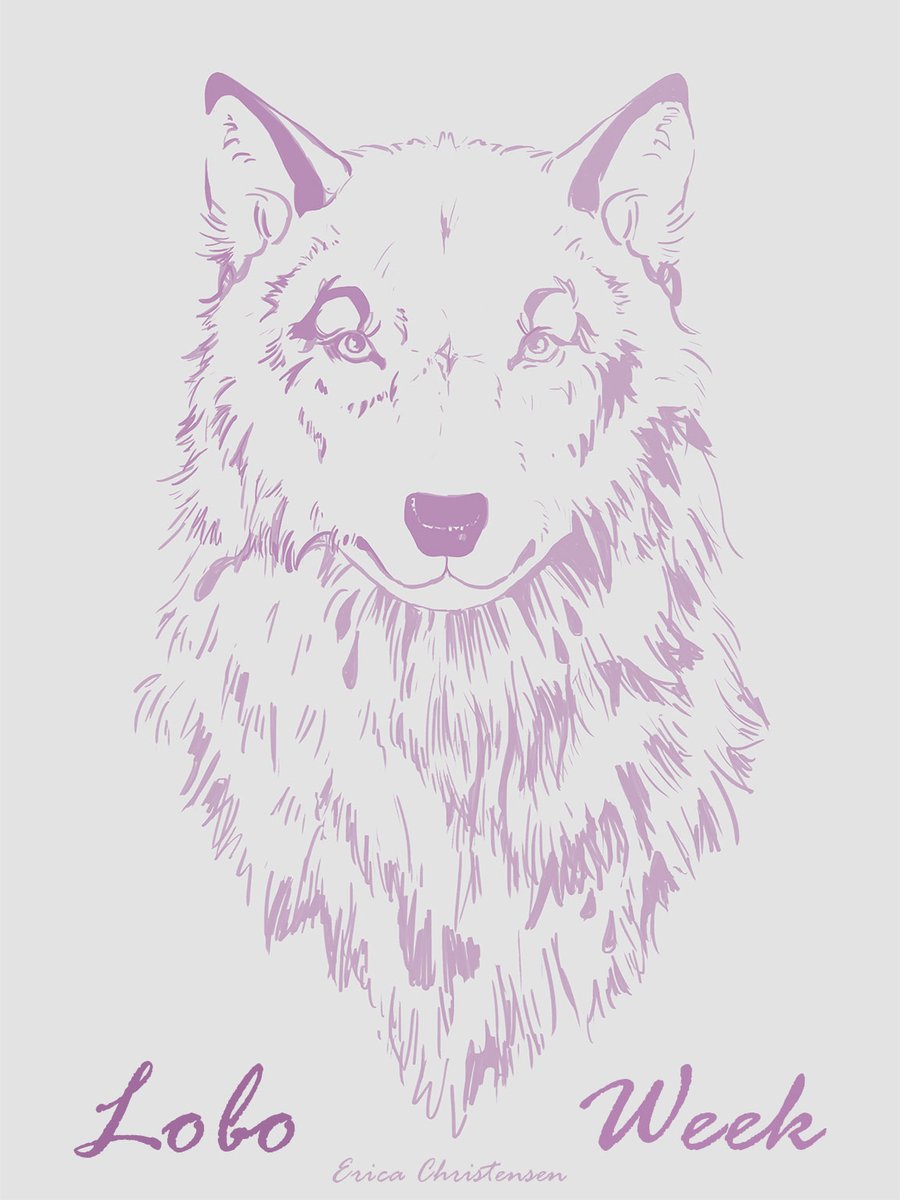 ec_artist's tweet photo. It's #LoboWeek, so I thought I'd share this sketch I did some months ago. :) https://t.co/dUPhWWNpQ0