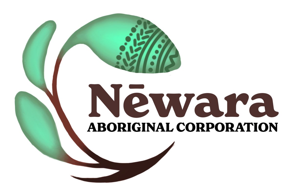 NewaraAC's tweet photo. Dhanggana?! Check out our new (and first) logo, designed by Anaiwan artist Narmi Collins-Widders. It features the leaves of the nēwara (New England peppermint tree, Eucalyptus nova-anglica). #Anaiwan #ReclaimingLanguage #ReclaimingLand #ReclaimingLifeways https://t.co/RQkPBM8zeO