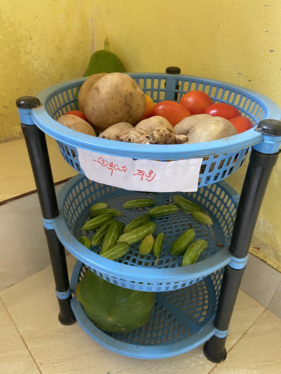 Akshaya pathra: community contribution of fresh vegetable to Anganwadies. Every day one or more children get veges to anganwadi voluntarily. That builds sense of sharing and ownership @ Rural mangalore and Bantwala Taluk