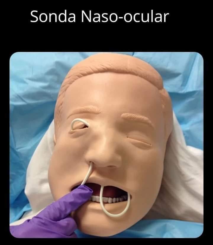 medicosergio's tweet photo. Educación a distancia 💫
#TeleEducacion #OnLine #ClasesHibridas #Pandemia https://t.co/pJbF0yuZHx