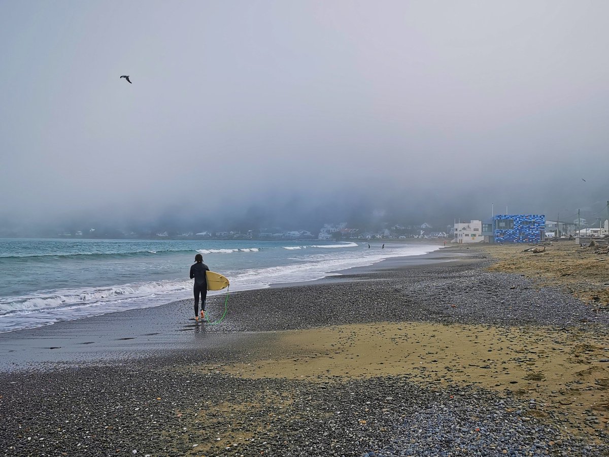 WildBayNZ's tweet photo. Its turning out to be a lovely evening.
Warm, quiet with a hint of fog.
@WellyFog #LyallBay #Fog #Evenings #EveningFog
#WellyFog https://t.co/RqSRoSAlwA