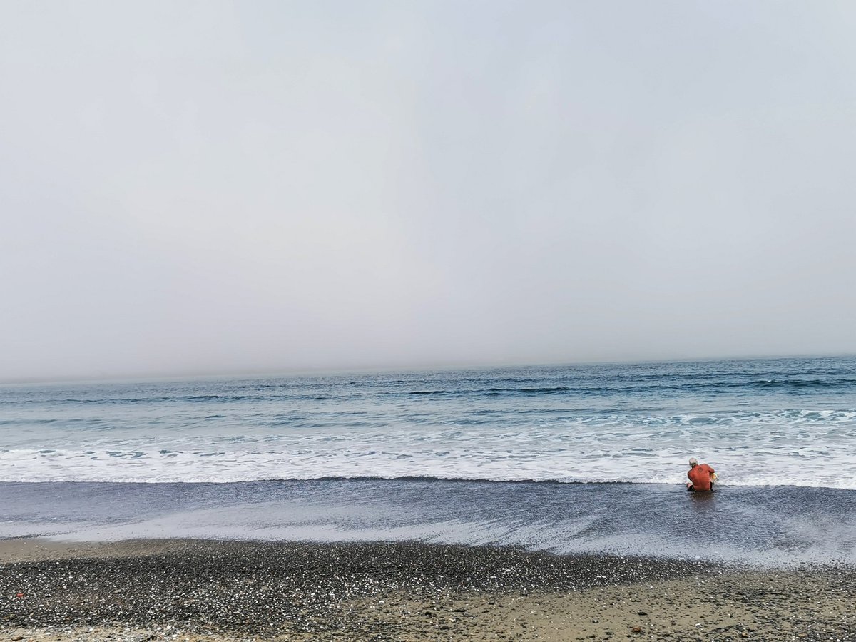 WildBayNZ's tweet photo. Its turning out to be a lovely evening.
Warm, quiet with a hint of fog.
@WellyFog #LyallBay #Fog #Evenings #EveningFog
#WellyFog https://t.co/RqSRoSAlwA