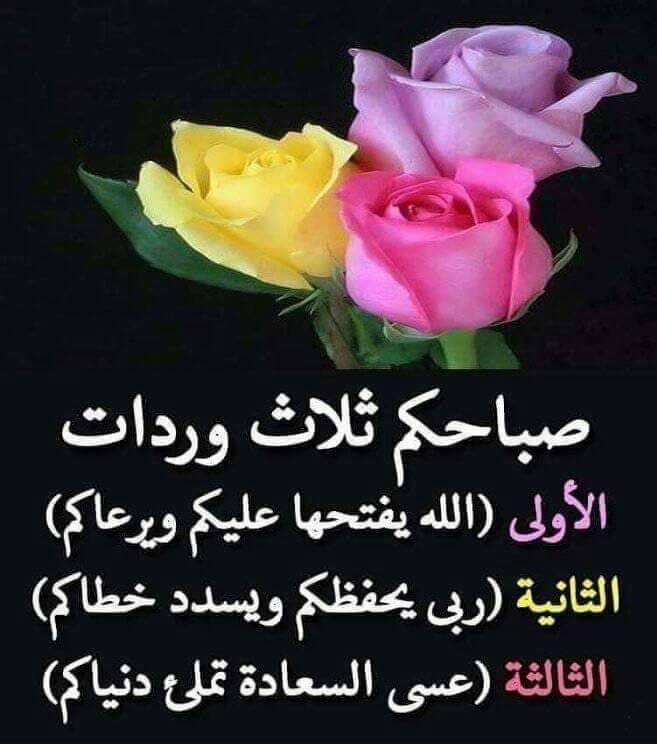 الله المستعان (@salahh2021) on Twitter photo 