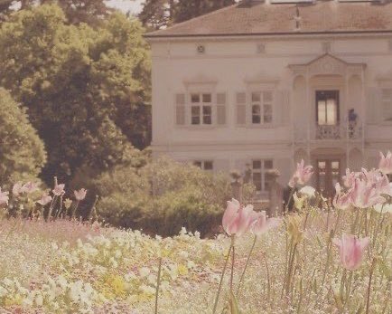 rrariiTty👜 tweet media