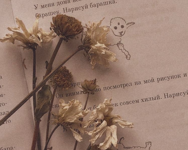 rrariiTty👜 tweet media