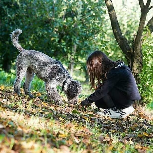 una_fotografa's tweet photo. Titolo:
"young truffle hunter with his tabui"
#langhe
#tabui
#truffle https://t.co/6wHrsHPQrZ