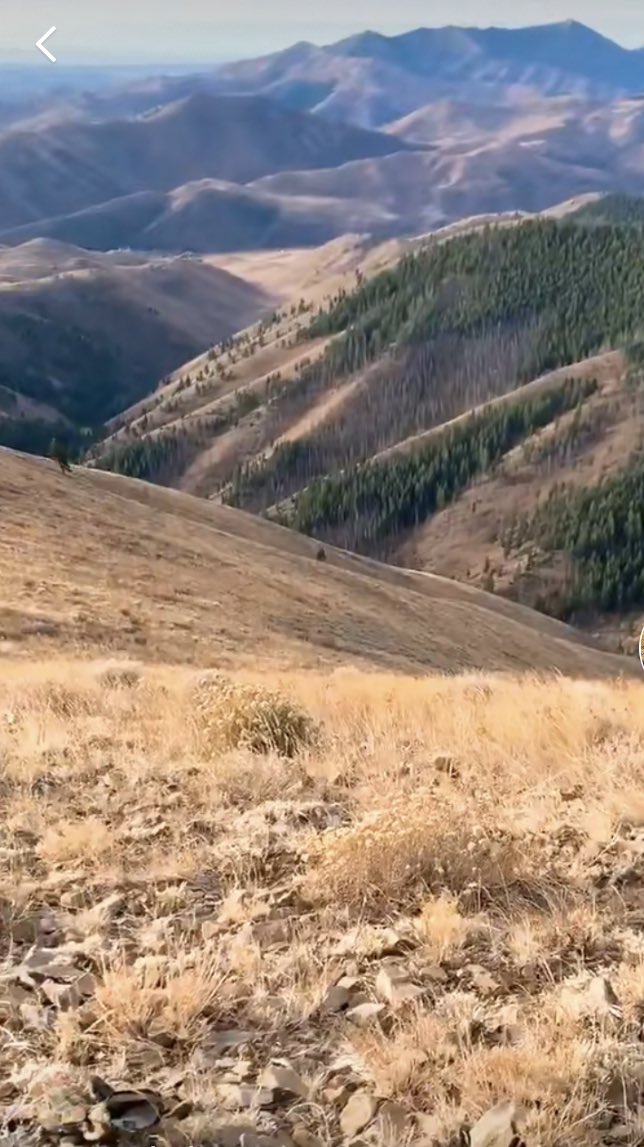 MilitaryHub01's tweet photo. Who’s going hunting this month? #hunting #deer #birdphotography #birdwatching #guns ✨Hunting✨ https://t.co/kayujIssSd