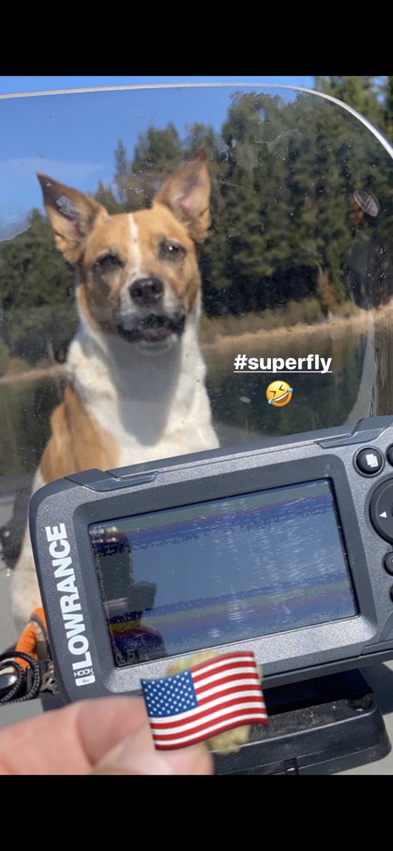 bmxbillyclark's tweet photo. Lake of the woods our fav fishing lake in Oregon .. #basstracker #lowrance #shimano #orvis 🇺🇸 https://t.co/nESIBEsTAF