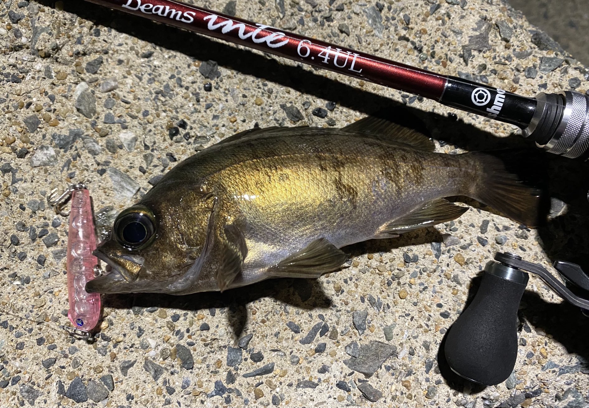 スネコン50s Twitter Search Twitter