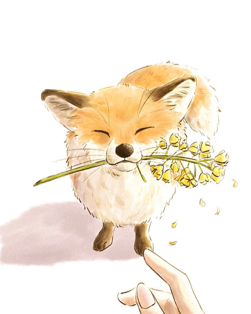 animal focus closed eyes white background fox petals out of frame solo focus  illustration images