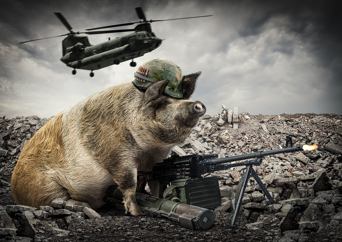 AnimaLunga™ tweet media