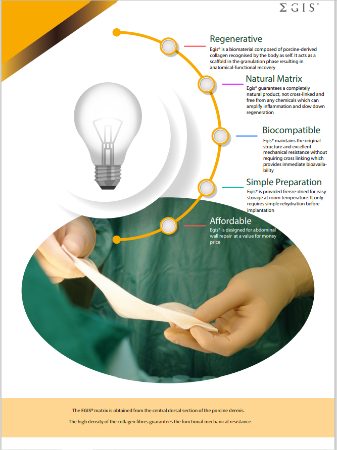 nw_raise's tweet photo. EGIS is an excellent option for Advanced Abdominal Wall Repair - available direct or via NHSSC. Biologic mesh technology doesn't need to be expensive. Contact your local Raise BM for more details. #adm #hernia #abdominalhernia #biologicmesh #meshrepair #abdomen #surgery #awr https://t.co/ocsvN2GisH