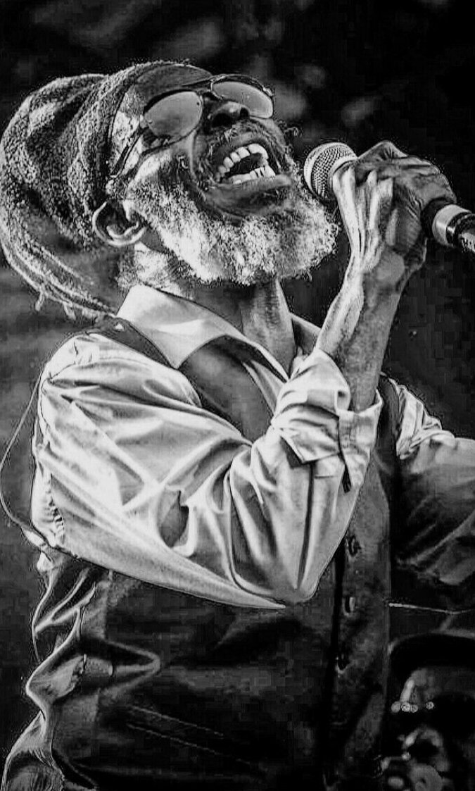 NadineSutherland tweet media