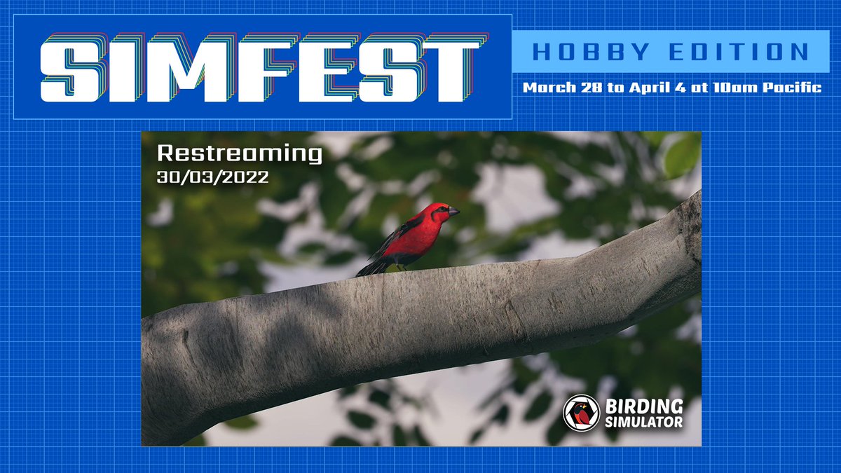BirdingSim's tweet photo. We wanted to announce that the present day will be entirely dedicated to restreaming! 🦅
🔴Watch from 13:00 CET on Steam: https://t.co/hlRMODAhCg
#Livestream #simfest #indiedev #indiegame #restreaming https://t.co/UIYN7VO06Y