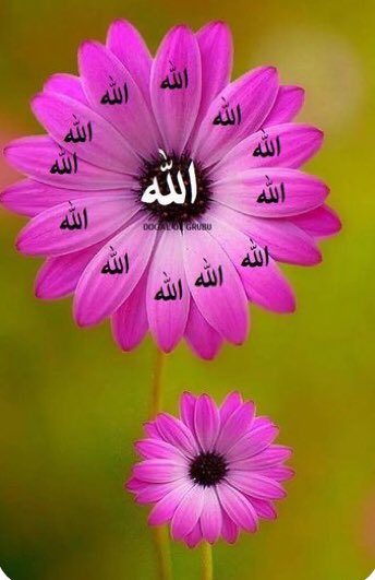 mesonber's tweet photo. اللهم صَل وسلم على نبينا محمد وعلى اله وصحبه اجمعين 

ﷺ  ﷺ ﷺ https://t.co/UF9SV3wlVB